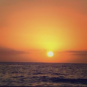 Meet your Posher, Nellie